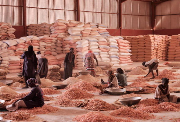 Sustainable Harvesting