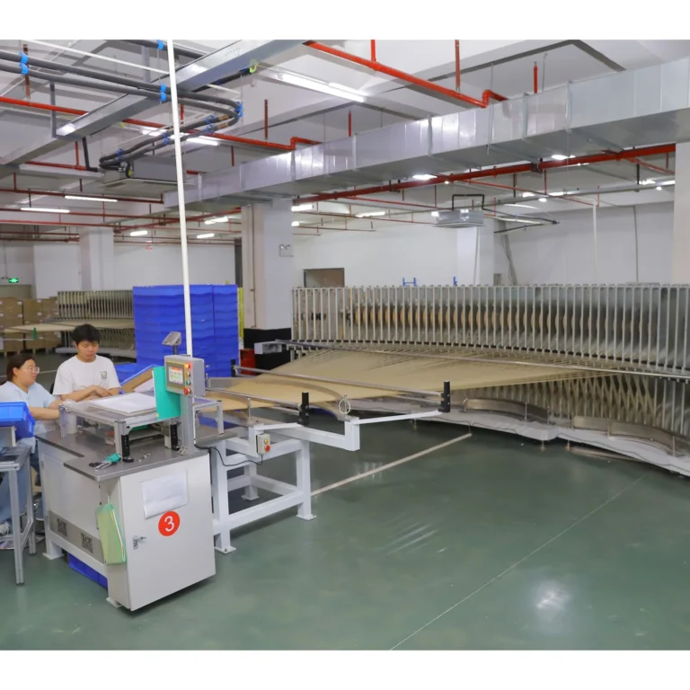 Ace Rolling factory production line with paper tray forming equipment