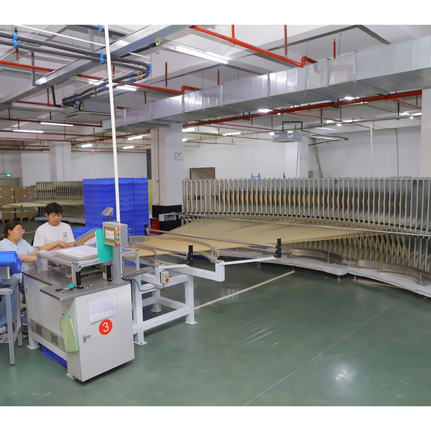 Production line with rigid tray and container forming equipment