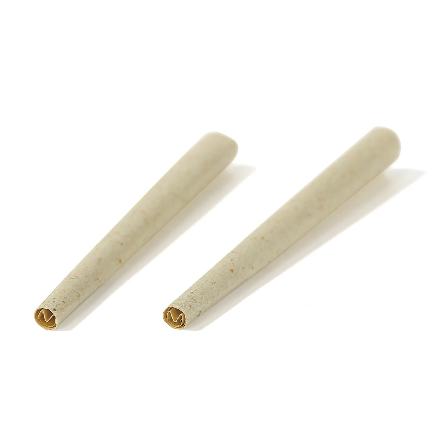 Two unbleached pre-rolled cones close-up from the filter end