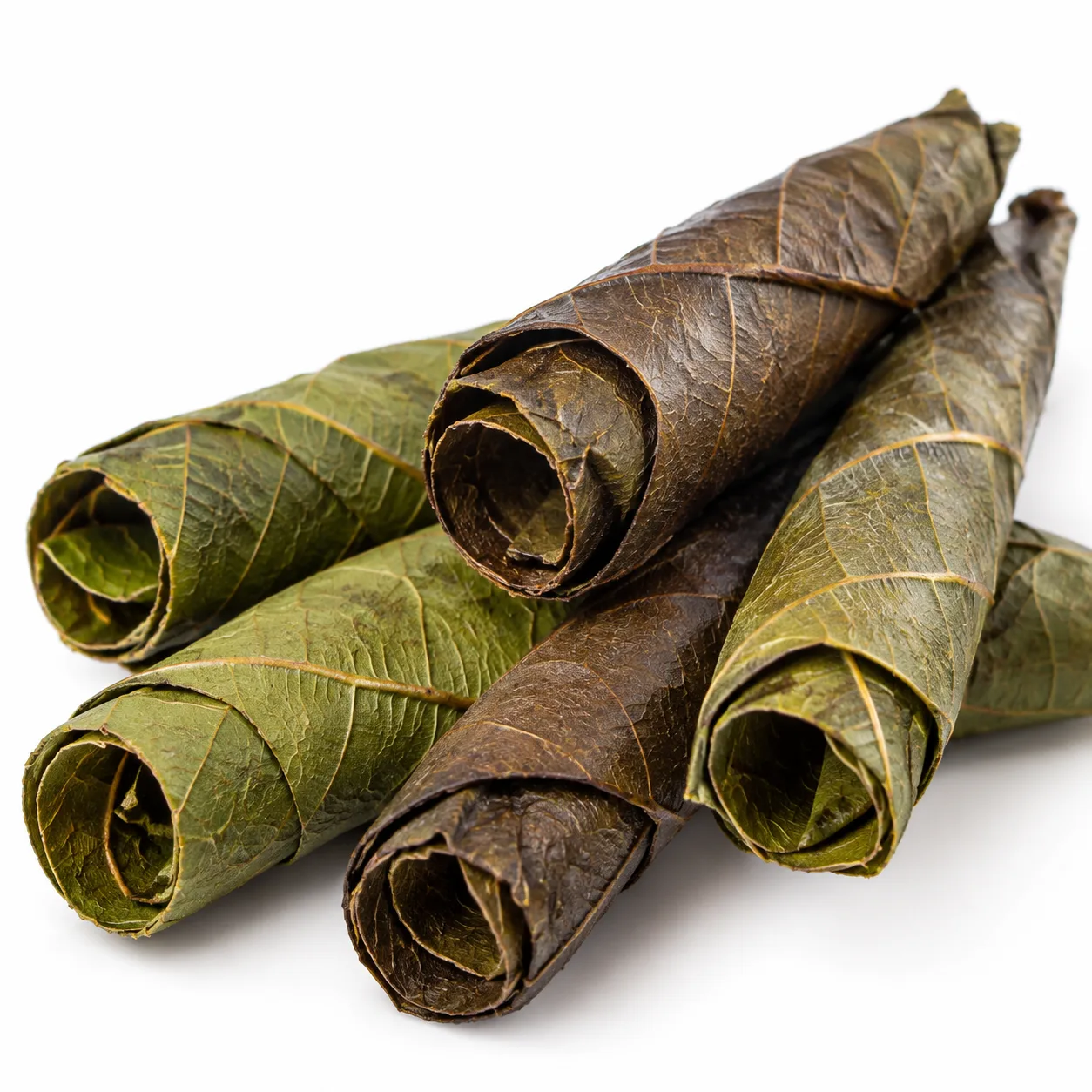 Detailed macro view of natural Cordia leaf veins on hand-rolled pre-roll cone